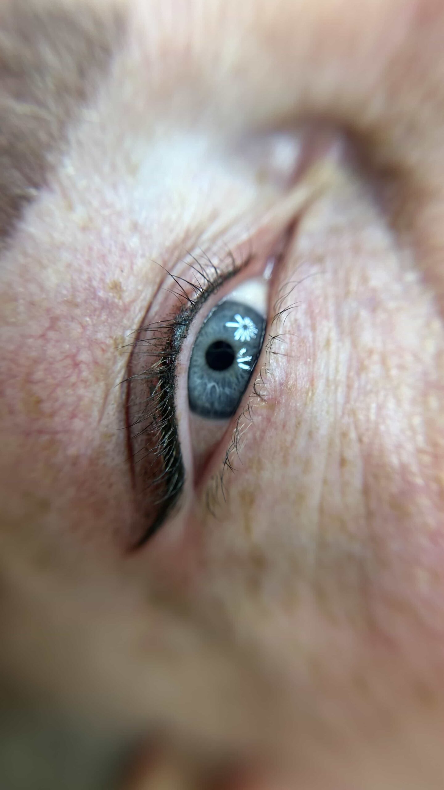 Opleiding Shaded Eyeliner